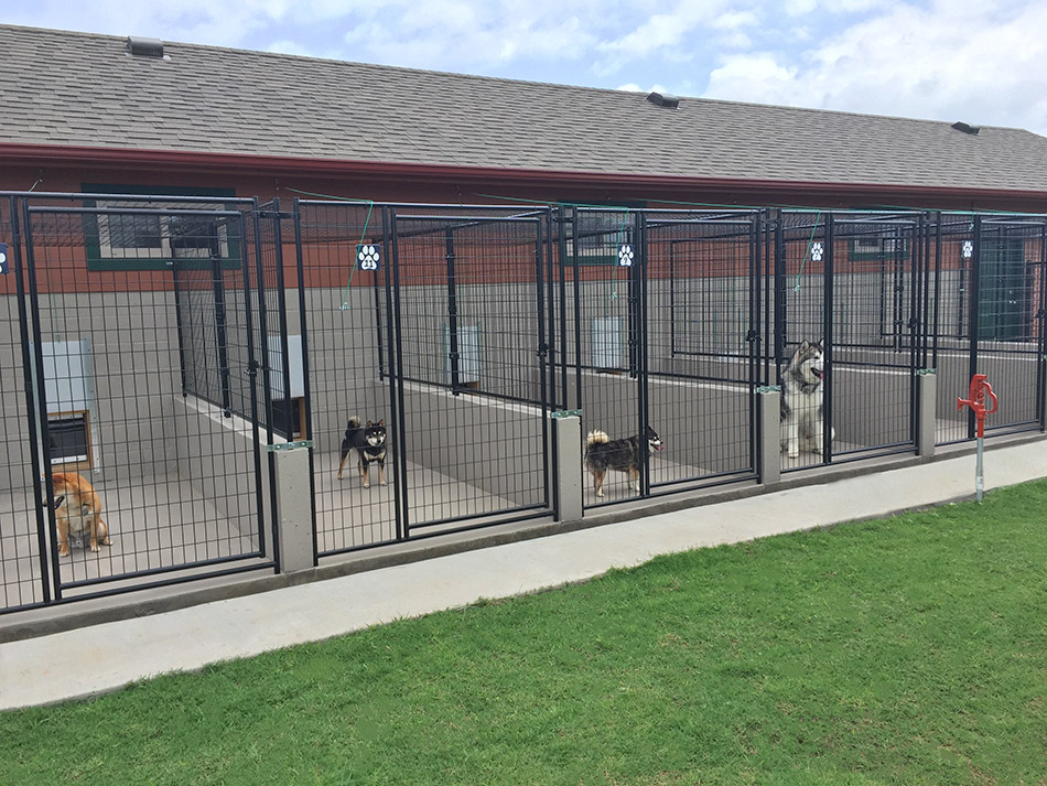 ATTABOY KENNELS facility